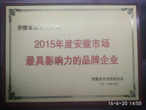 安徽省鹽業(yè)投資控股集團(tuán) 投資控股的戰(zhàn)略意義與未來展望
