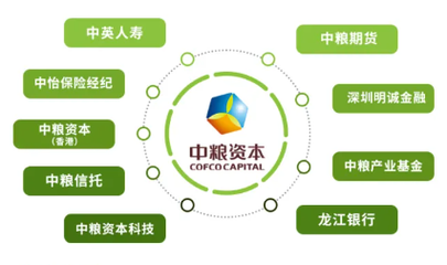 福滿佳2.0紅利實現率超預期，2025年中英人壽分紅率突破3.5%驚喜揭曉